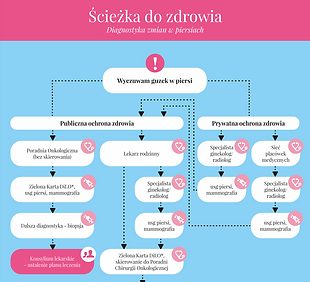 Ulotka: Ścieżka do zdrowia — diagnostyka zmian w piersiach